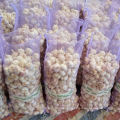 Export Packed in 10kgs in Carton Mesh bag Fresh Normal White Garlic